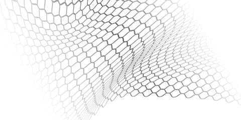 Fishing or soccer net. Repeated hexagon pattern. Black wired mesh texture isolated on white background. © Arya
