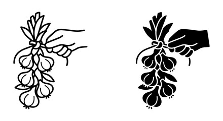 Fototapeta premium Hand Holding Garlic Bunch, Vector Illustration Set, Culinary Ingredient Icon