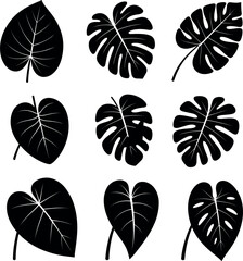 Tropical Leaf Silhouette Collection, Monstera and Philodendron Vector Illustration Set for Botanical Nature Design Pack © Asha