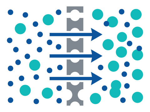 Semipermeable membrane filtration diffusion process with membrane filtration diffusion permeability molecules separation particles chemistry movement laboratory research education solution