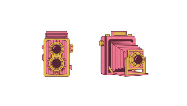 Set of Two Vintage Retro Style Pink Film Cameras
