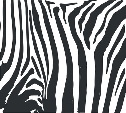 Black and white zebra stripe pattern square