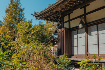 Fototapeta premium Traditional Japanese House in Autumn: An ancient Japanese wooden house with characteristic tiled roof and shoji screens stands amidst lush greenery and colorful autumn foliage.