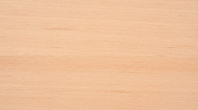 Seamless light wood texture with fine grain