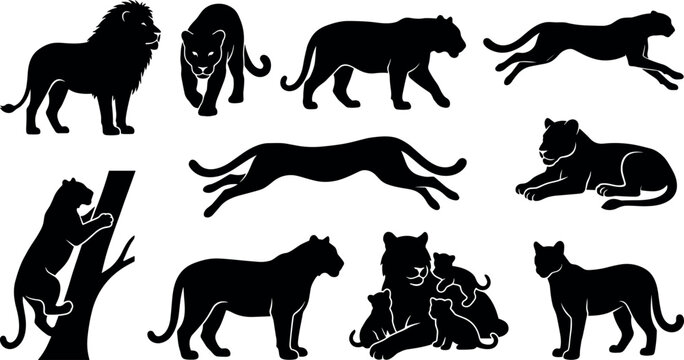Wild big cats black silhouette vector set featuring lion tiger panther cheetah leopard cougar puma and cubs graphics pack