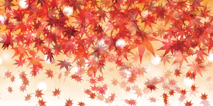 Stunning Autumn Foliage Leaves With Soft Bokeh Background