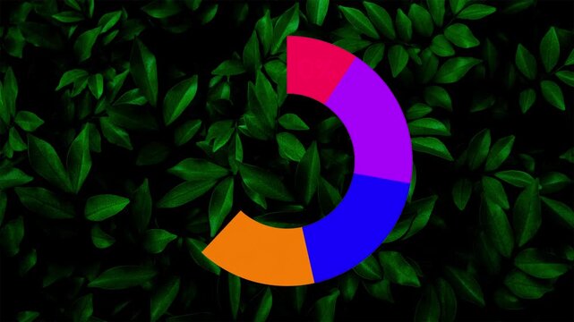 Green Screen Pie Chart Percentage Animation Green Screen Overlay