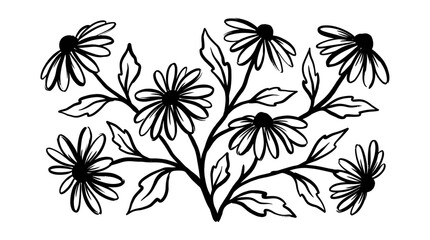 Elegant Hand Drawn Daisy Flowers Botanical Illustration. © Karimun