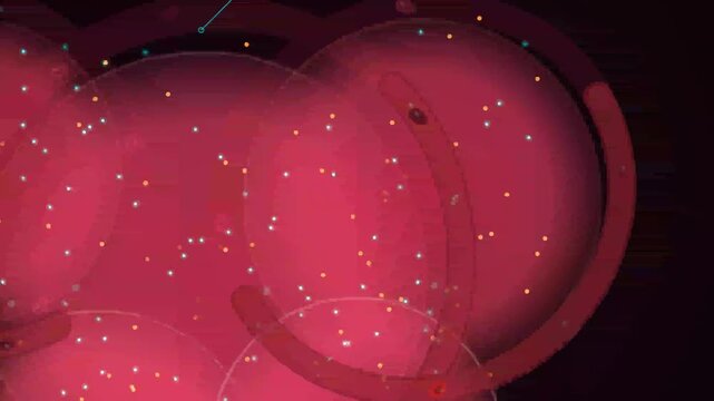3D medical animation showing the process of respiration with oxygen diffusion into red blood cells within pulmonary alveoli and hemoglobin saturation