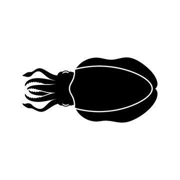 Top view black silhouette of a cuttlefish isolated on white. Ideal for marine biology illustrations, seafood icons, and underwater wildlife graphic design.