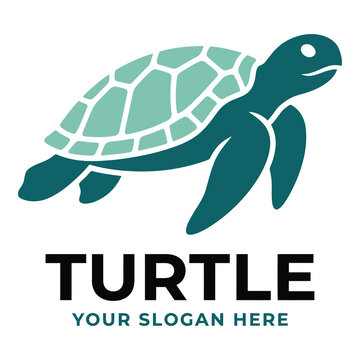 Teal turtle logo with sample slogan on white background icon