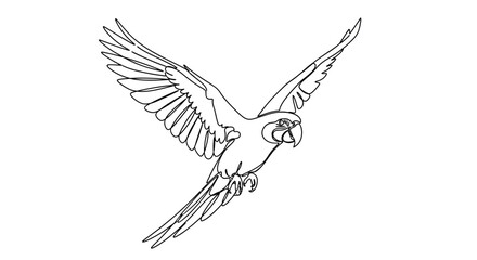 Outline drawing of a macaw parrot in flight, spread wings, white background © Vector
