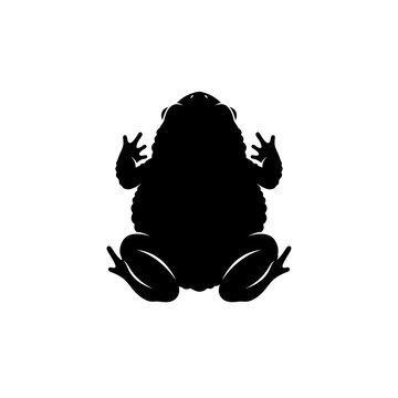Black silhouette of a toad sitting flat, isolated on white. Ideal for nature, wildlife, and Halloween themed graphics. Detailed monochrome illustration.