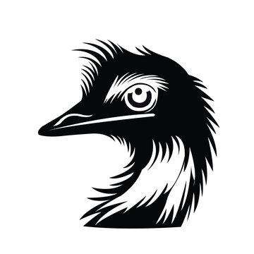 Black and white portrait of an emu bird head illustration