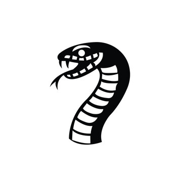 Black and white snake head icon vector illustration