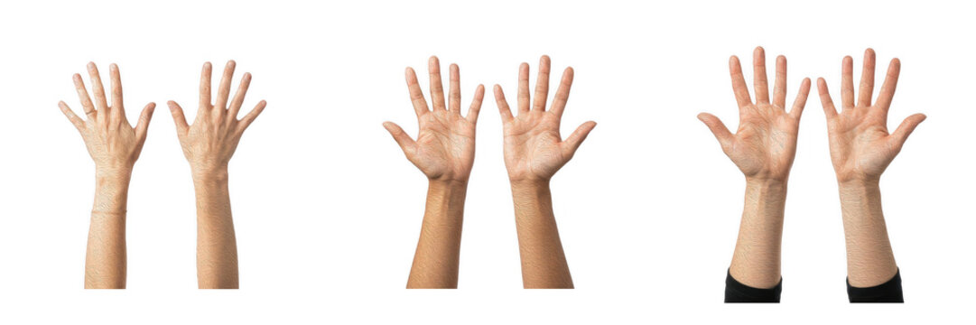 Open human hands PNG collection, raised palms and fingers showing gestures clip art, body language cutout elements, isolated gesture design asset set