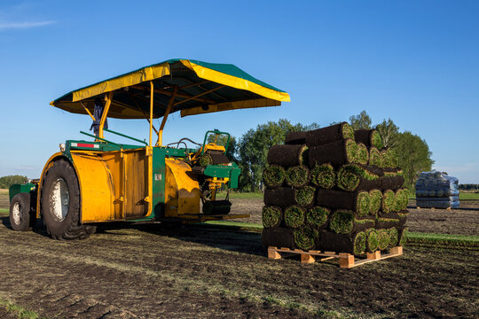 Soil compactor roller machine standing near stacked sod rolls in agricultural turf field
