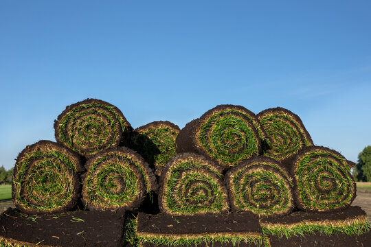 Stacked pallets of rolled sod turf in agricultural field under blue sky