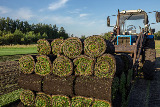 Tractor loader lifting stacked rolled sod turf pallet in agricultural field