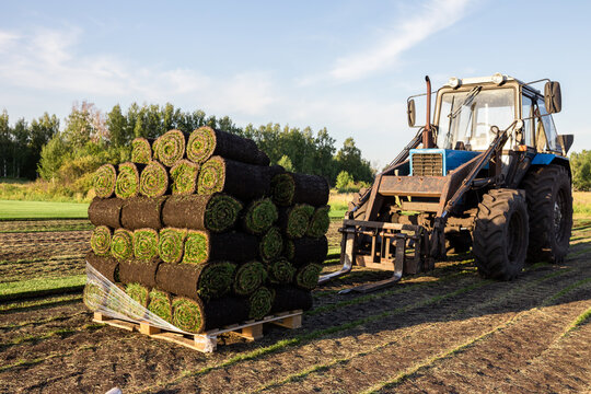 Tractor loading pallet of rolled sod turf in agricultural field under blue sky