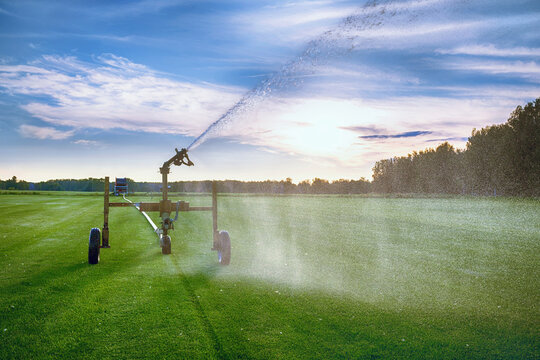Sprinkler irrigation system watering green lawn turf field under open sky