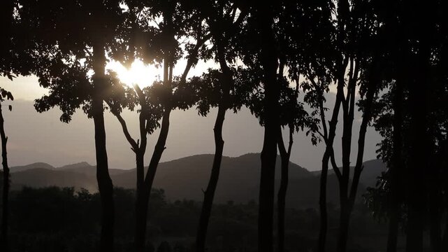 Sun flare bursting through silhouetted tree branches against mountain landscape during sunset. Cinematic twilight campsite atmosphere.