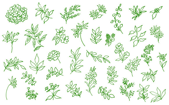 Hand-Painted Boho Botanical Vector Line Art Set with Doodle-Style Wildflowers, Berries, and Leaves for Wedding Invitations, Surface Design, and Greeting Cards