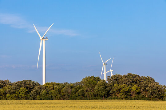 Full frame landscape view of giant wind-powered electrical generators in an agricultural field on a sunny day, with copy space