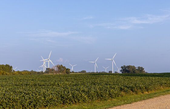 Full frame landscape view of giant wind-powered electrical generators in an agricultural field on a sunny day, with copy space