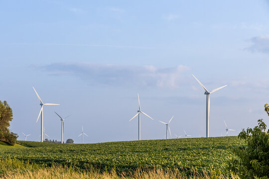 Full frame landscape view of giant wind-powered electrical generators in an agricultural field on a sunny day, with copy space