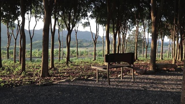 Empty wooden bench under shadows of trees looking out to green mountains. Peaceful campsite relaxation atmosphere.