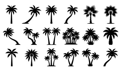 Fototapeta premium Premium Palm Tree Silhouette Vector Pack – Tropical Coconut Trees Clipart Set