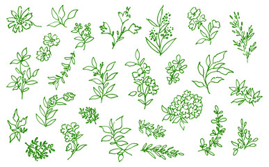 Obraz premium Hand-Painted Boho Botanical Vector Line Art Set with Doodle-Style Wildflowers, Berries, and Leaves for Wedding Invitations, Surface Design, and Greeting Cards