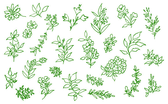 Hand-Painted Boho Botanical Vector Line Art Set with Doodle-Style Wildflowers, Berries, and Leaves for Wedding Invitations, Surface Design, and Greeting Cards