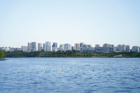 Lake view with green trees and buildings in distance. Chengdu city.