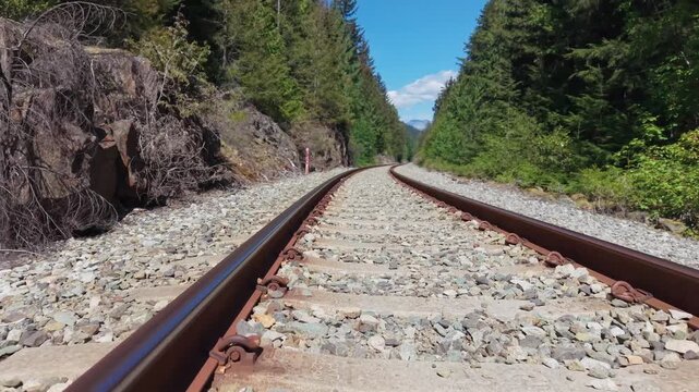 Drone Flight Through Forest and Railway at Train Wreck Trail, Whistler, British Colum