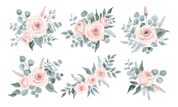Watercolor Rose Botanical Collection.