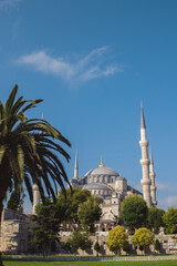 Blue Mosque in Istanbul with Ottoman domes, slender minarets and peaceful garden scenery. Traditional Turkish landmark for travel and cultural sightseeing themes. © Dasha Lapshina