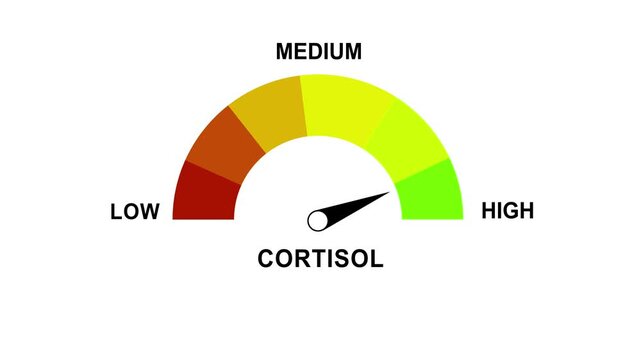 Animated cortisol level gauge meter indicating stress levels from low to with dynamic needle movement for medical health diagnostics, wellness tracking, and scientific endocrinology research