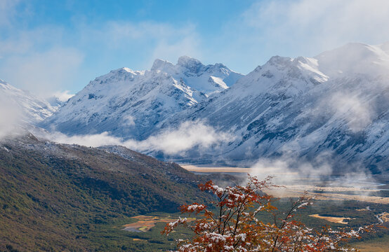 an afternoon shot of a southern beech tree with and the las vueltas river valley in the distance at los glaciares national park of argentina