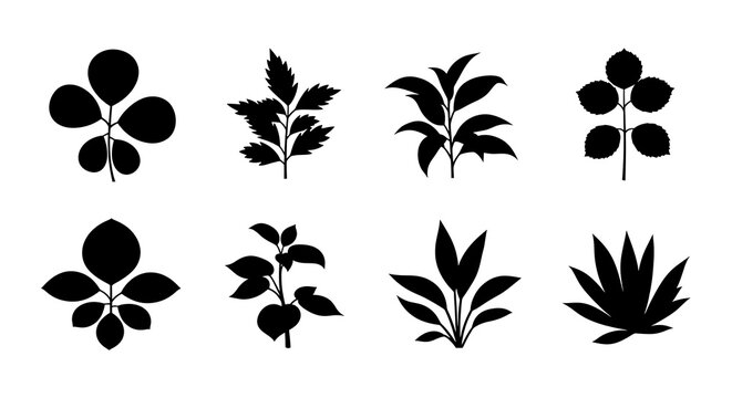 Collection of eight distinct leafy plant silhouettes in black on white background