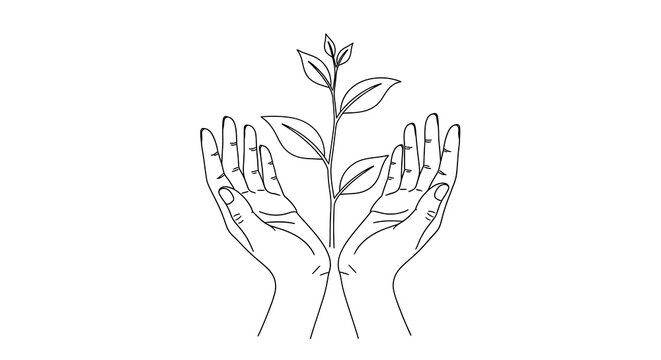 Hands gently cradling a small plant sprout symbolizing growth care and new beginnings in a delicate sketch