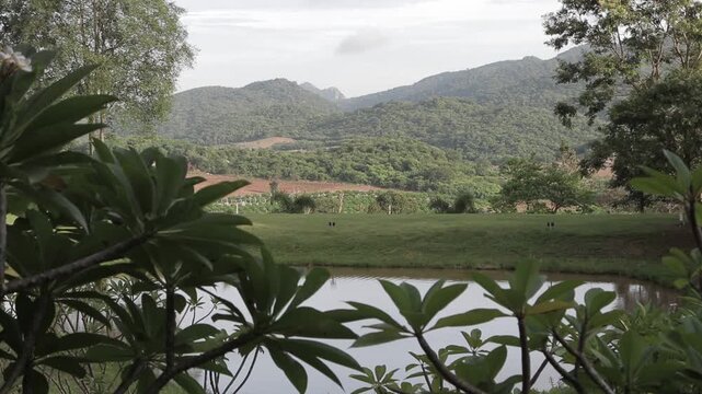 Scenic view of pond and green lawn campsite framed by foliage with lush mountain background. Peaceful outdoor nature landscape.