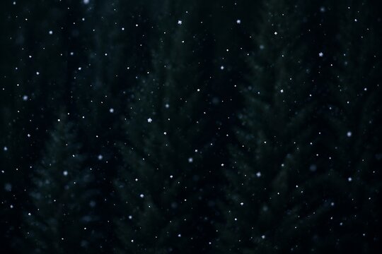 Gentle snowfall drifts down through the dark, blurred branches of evergreen trees in a serene winter forest scene.