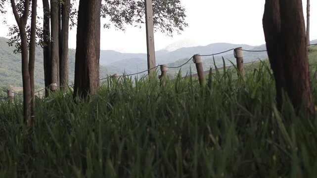 Low angle view of rustic wooden fence on green grass slope looking out to distant mountains. Peaceful campsite boundary scenery.