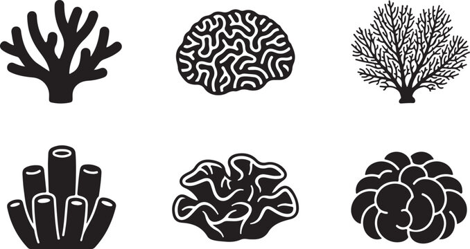 Six types of coral and brain vector icons set Vector