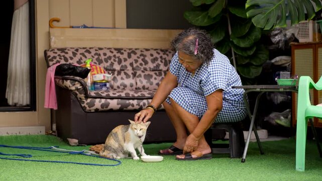 Happy Asian senior woman sitting on a chair and petting her cute cat in the garden at home, enjoying peaceful retirement lifestyle.