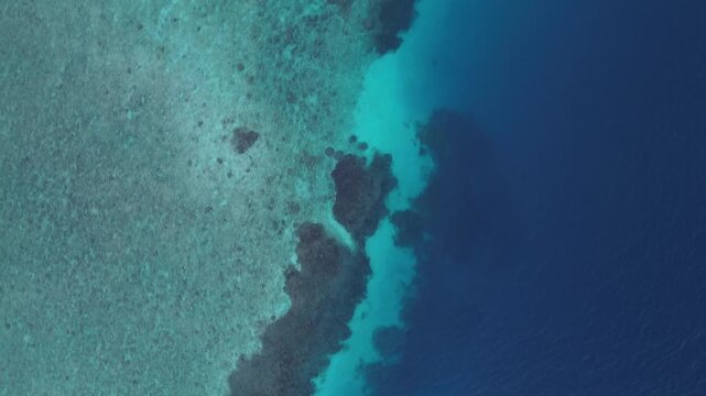 Aerial View of Tropical Coral Reef and Deep Blue Ocean