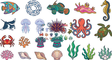 Marine life illustration collection, ocean animal vector elements, colorful underwater sea creatures for educational designs © Creative Vector Work