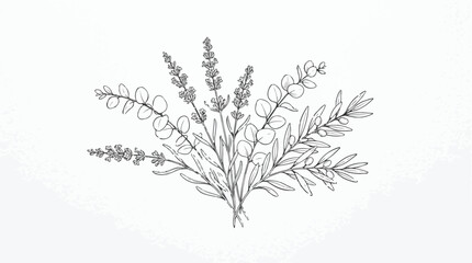 Minimalist botanical line art bouquet, hand drawn lavender and eucalyptus floral arrangement, elegant black and white wildflower vector illustration © usman